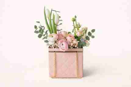 Pink Luxury