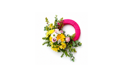 Όταν Ανθίσει ο Μάης Fuschia