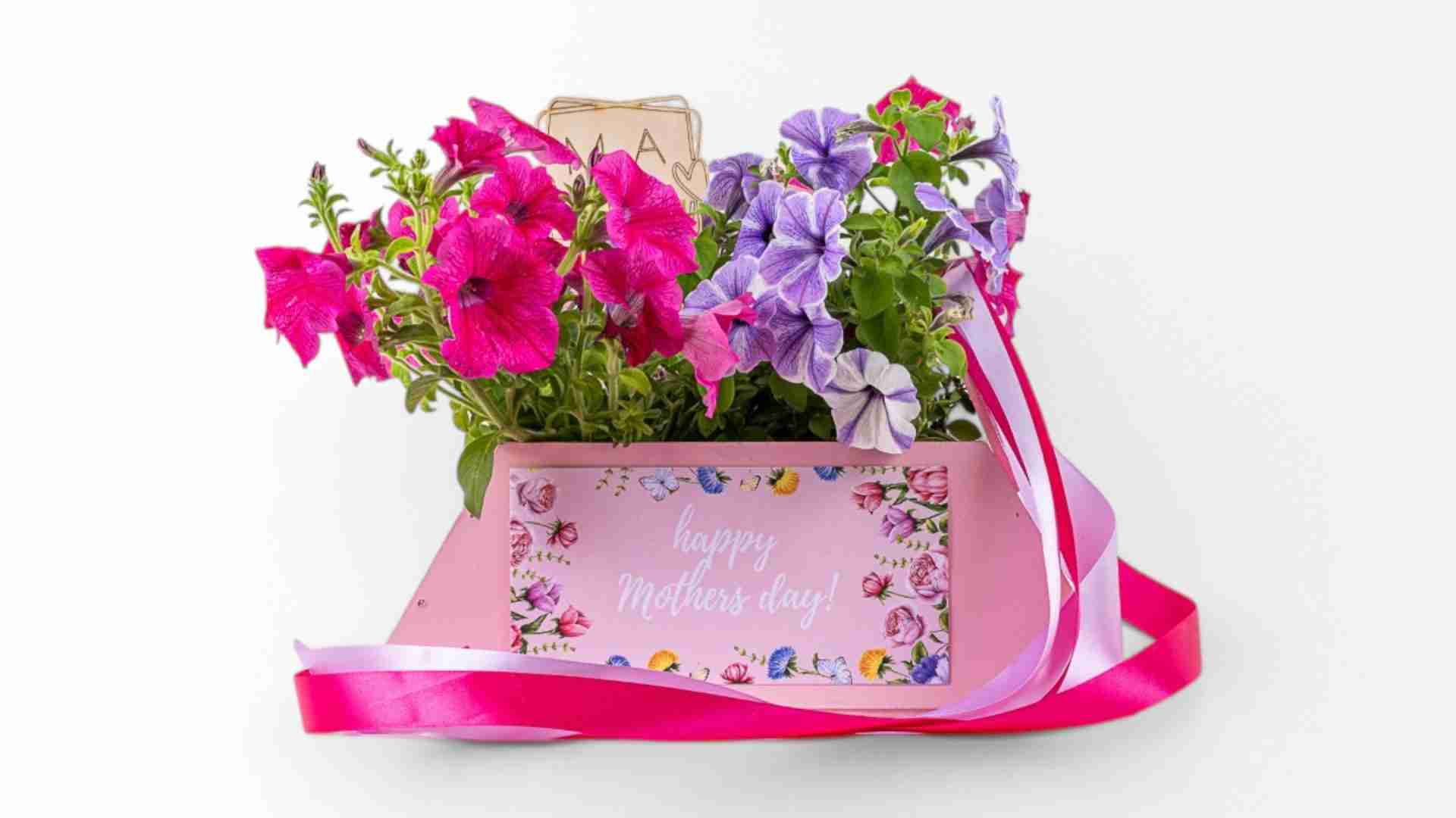 Product-7